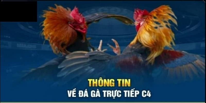 Đá Gà C4 77win - Khám Phá Thế Giới Giải Trí Đẳng Cấp